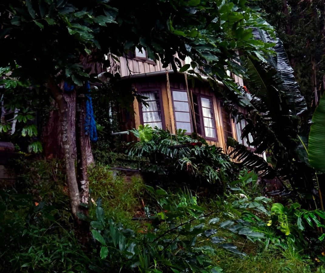 The Den Of The Treehouse, Kinabalu Farm The Pocket Exterior foto