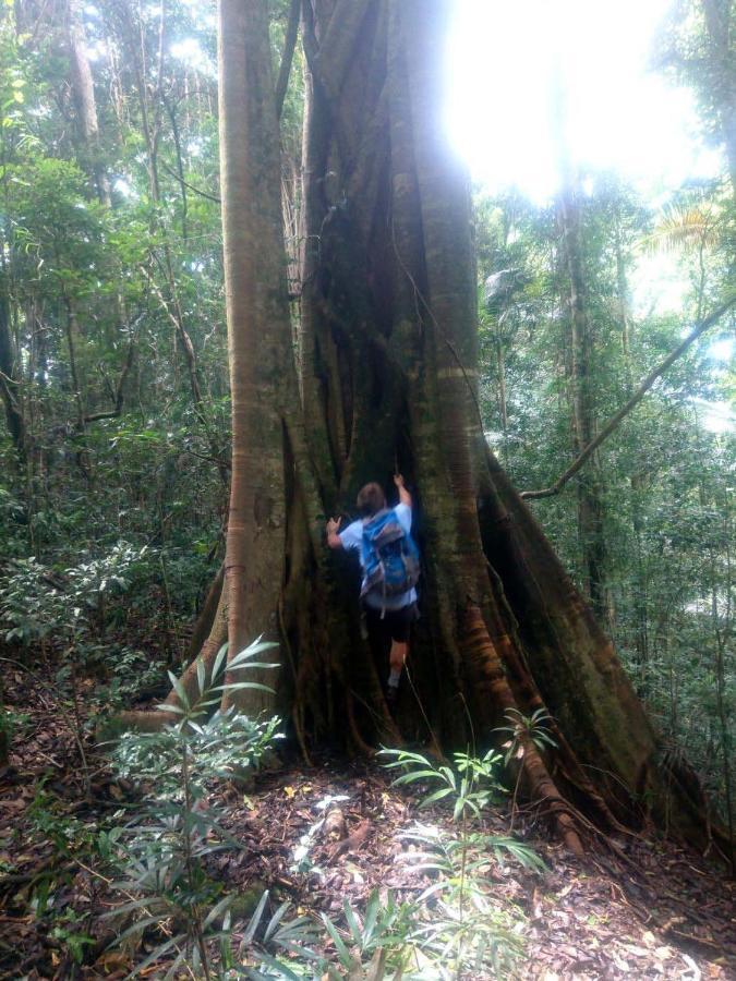The Den Of The Treehouse, Kinabalu Farm The Pocket Exterior foto
